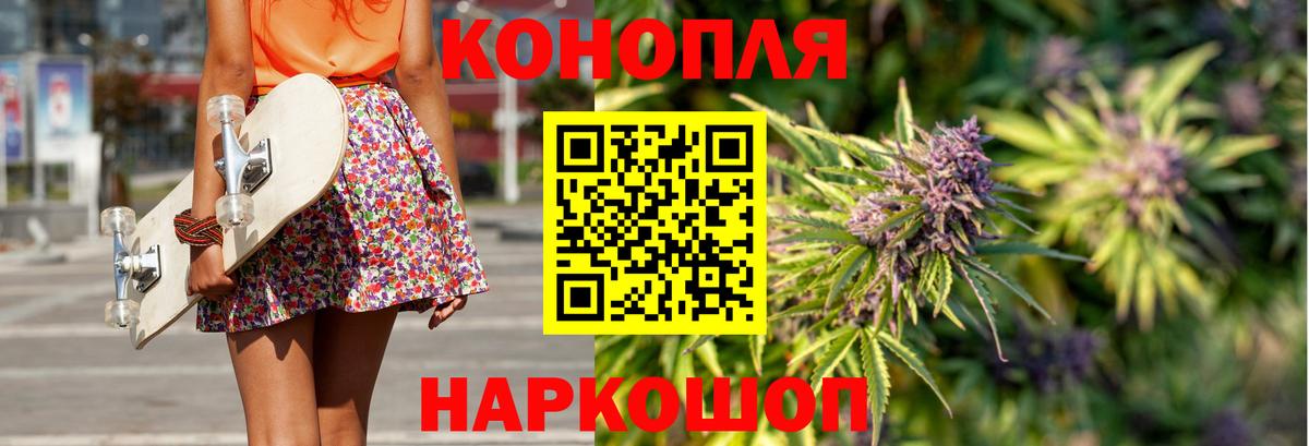 Каннабис сатива Амурск